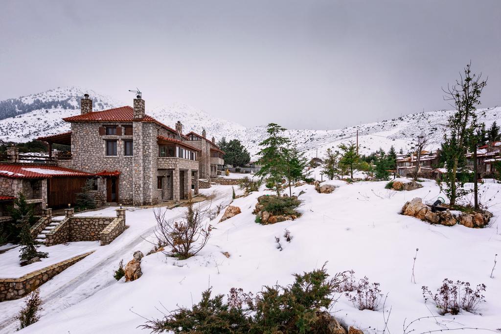 Monte Bianco Villas Arachova Exterior foto